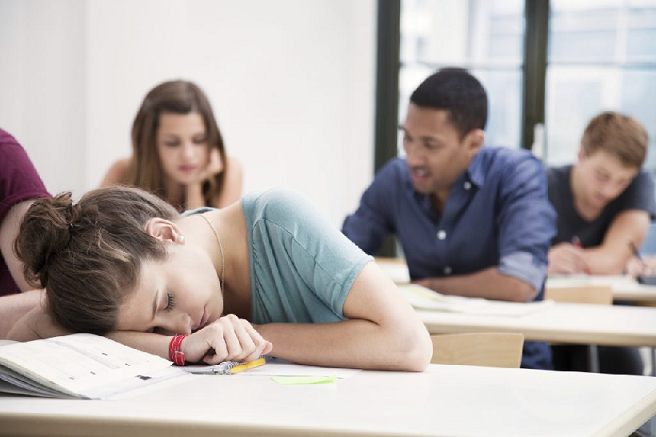 Modafinil is an efficient narcolepsy therapy that increases wakefulness