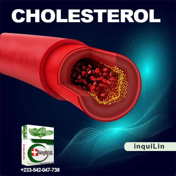 Medicine Treat High Cholesterol levels